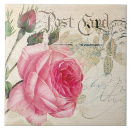 Redoute French Pink Rose Postcard Keramik Tile Fliese