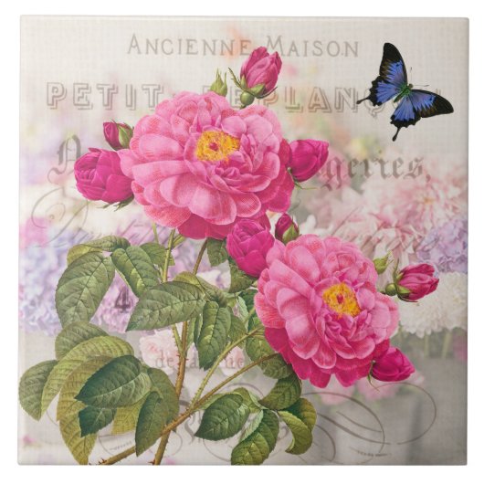 Redoute French Pink Roses Keramik Tile Fliese (Vorderseite)