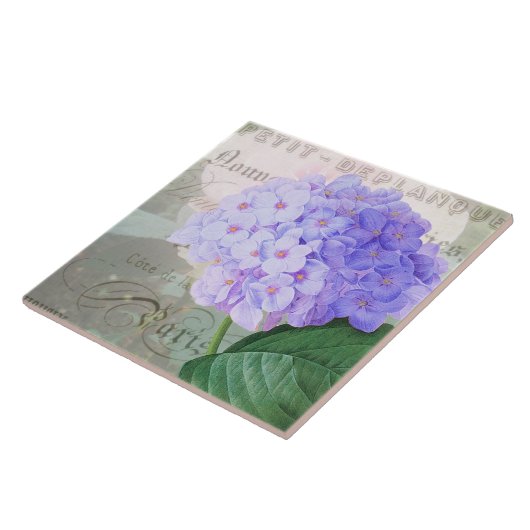 Redoute Hydrangea French Accent Keramik Tile Fliese (Seite)