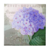 Redoute Hydrangea French Accent Keramik Tile Fliese (Vorderseite)