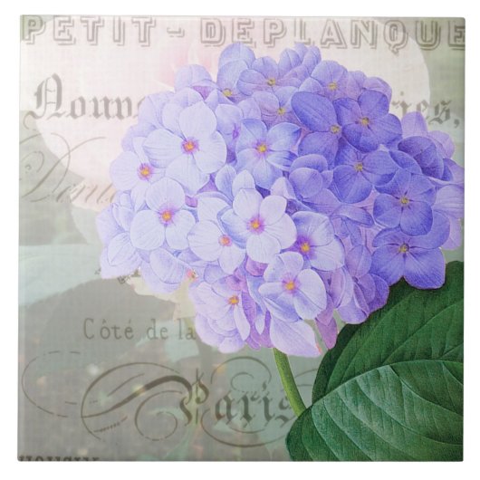 Redoute Hydrangea French Accent Keramik Tile Fliese (Vorderseite)