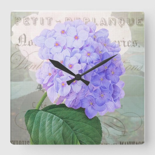 Redoute Hydrangea Shabby French Accent Clock Quadratische Wanduhr (Vorderseite)