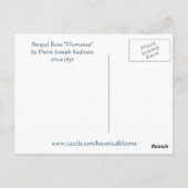 Redoute Illustration Bengalische Rose Hymanee Postkarte (Rückseite)