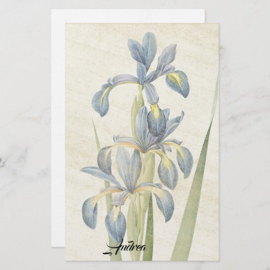 Redoute Iris-Blumen-Blätter-Reis-Papierbriefpapier Briefpapier (Vorne/Hinten)