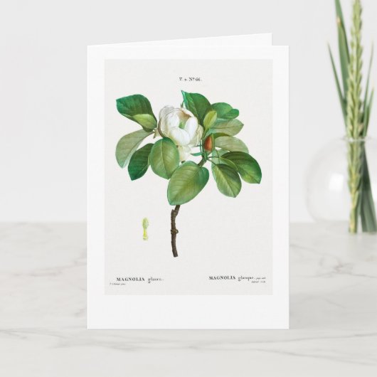 REDOUTÉ KUNDENBARE BOTANISCHE GREETKARTE KARTE (Vorderseite)
