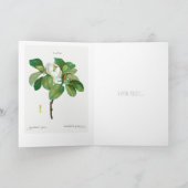 REDOUTÉ KUNDENBARE BOTANISCHE GREETKARTE KARTE (Innenseite)
