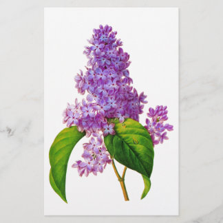 Redoute Lilacs Briefpapier