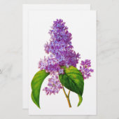 Redoute Lilacs Briefpapier (Vorne/Hinten)