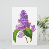 Redoute Lilacs Briefpapier (Stehend Vorderseite)