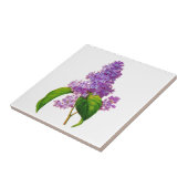 Redoute Lilacs Fliese (Seite)
