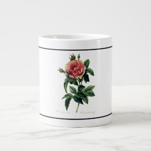 REDOUTE MALERIERUNG DER ROSE ESPRESSO Tasse KUNSTB
