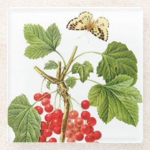 Redoute Pflanze Glass Untersetzer