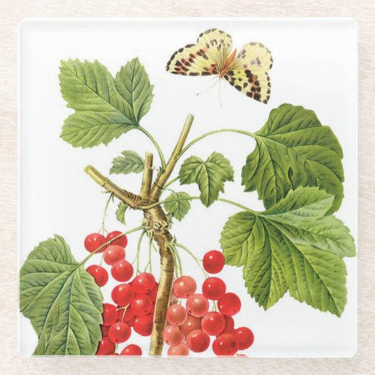 Redoute Pflanze Glass Untersetzer (Vorderseite)