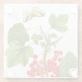 Redoute Pflanze Glass Untersetzer (Rückseite)