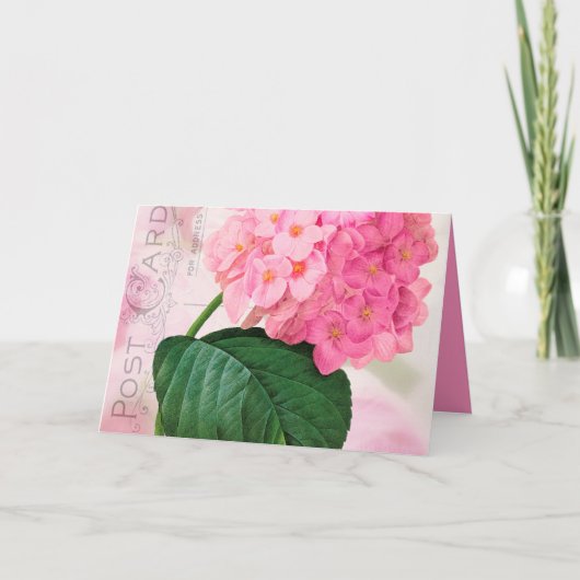 Redoute Pink Hydrangea Geburtstagskarte Karte (Vorderseite)