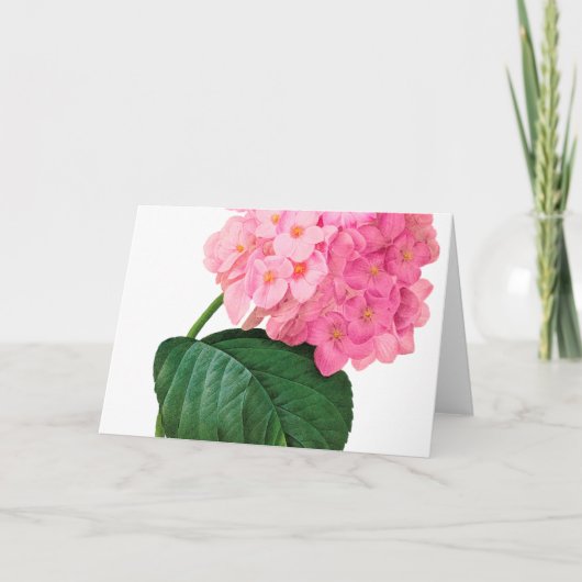 Redoute Pink Hydrangea Grußkarte Karte (Vorderseite)