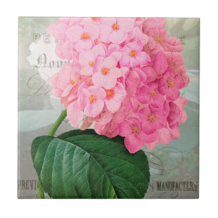 Redoute Pink Hydrangea Keramik Tile Fliese