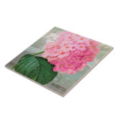 Redoute Pink Hydrangea Keramik Tile Fliese (Seite)