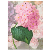 Redoute Pink Hydrangea Office-Zwischenablage Klemmbrett (Rückseite)