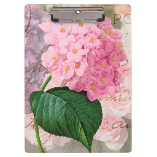 Redoute Pink Hydrangea Office-Zwischenablage Klemmbrett (Vorderseite)