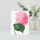 Redoute Pink Hydrangea Postkarte (Stehend Vorderseite)