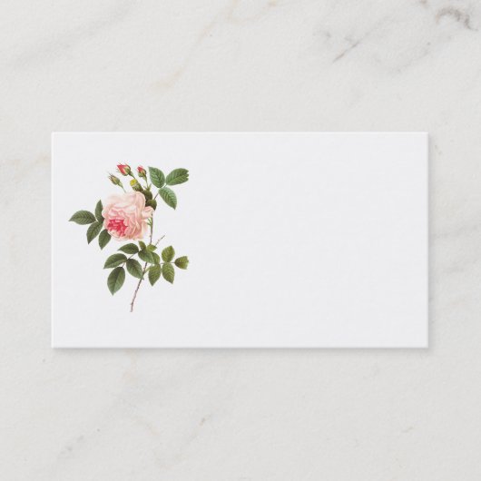 Redoute Pink Rose Business Card Visitenkarte (Vorderseite)