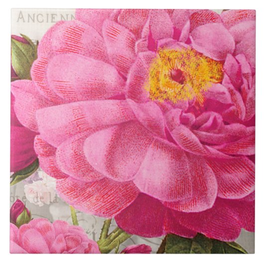 Redoute Pink Rose Keramik Tile Fliese (Vorderseite)