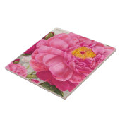 Redoute Pink Rose Keramik Tile Fliese (Seite)