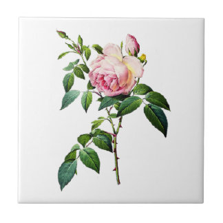 Redoute Pink Roses Fliese