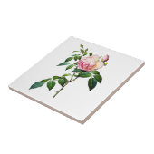 Redoute Pink Roses Fliese (Seite)