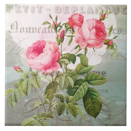 Redoute Pink Roses Keramik Tile Fliese (Vorderseite)