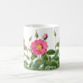 Redoute Pink Wild Rose Kaffee Tasse (Mittel)