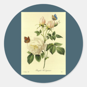 Redoute Print: "Bengalische Rose Hymanee" Runder Aufkleber