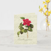 Redoute Red Camellia Botanical Print Mitteilungska Karte (Gelbe Blume)