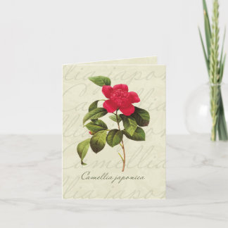 Redoute Red Camellia Botanical Print Mitteilungska Karte