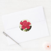 Redoute Red Camellia Botanical Print Stickers (Umschlag)
