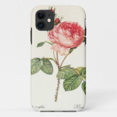 Redoute Rosa Centifolia (hell) Case-Mate iPhone Hülle (Rückseite)