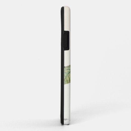 Redoute Rosa Centifolia (hell) Case-Mate iPhone Hülle (Hinten/Rechts)