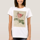 Redoute Rosa Centifolia T - Shirt (Vorderseite)