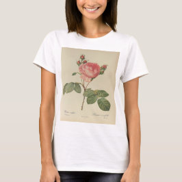 Redoute Rosa Centifolia T - Shirt