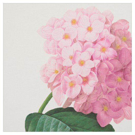 Redoute rosa Hydrangeas kämmten Baumwollgewebe Stoff (Muster)