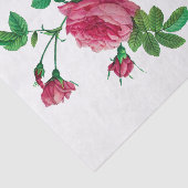 Redoute Rosa Inermis Seidenpapier (Ausschnitt)