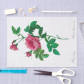 Redoute Rosa Inermis Seidenpapier (Handwerk)