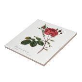 Redoute Rosen-weiße Keramik-Fliese Fliese (Seite)