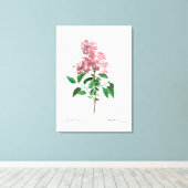 REDOUTÉ VINTAG BOTANISCHE "CHINESISCHE LILAK" LEINWANDDRUCK (Insitu (Holzboden))