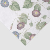 Redoute Winden-Blumen-Seidenpapier Seidenpapier (Detail)