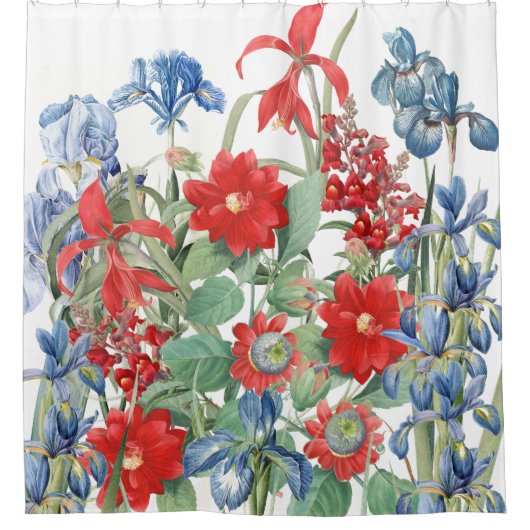 Redoutes rote blaue Blumen-Blumengarten Duschvorhang (Vorderseite)