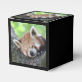 RedPanda20150705.jpg Geschenkschachtel (Vorderseite)