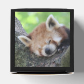 RedPanda20150705.jpg Geschenkschachtel (Oben)