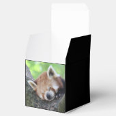 RedPanda20150705.jpg Geschenkschachtel (Geöffnet)